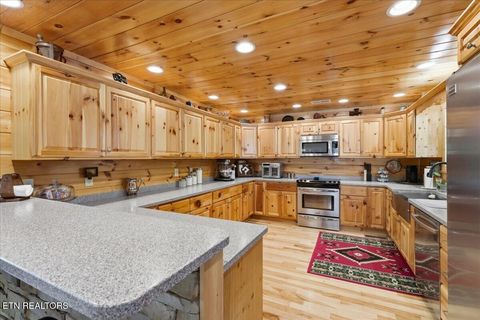 Tiny photo for 2732 Cayanne Rd, Cosby, TN 37722 (MLS # 1339834)