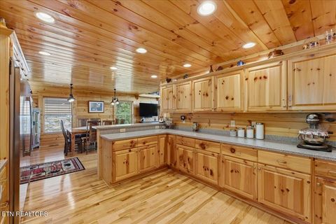 Tiny photo for 2732 Cayanne Rd, Cosby, TN 37722 (MLS # 1339834)