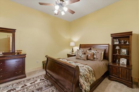 Tiny photo for 2732 Cayanne Rd, Cosby, TN 37722 (MLS # 1339834)