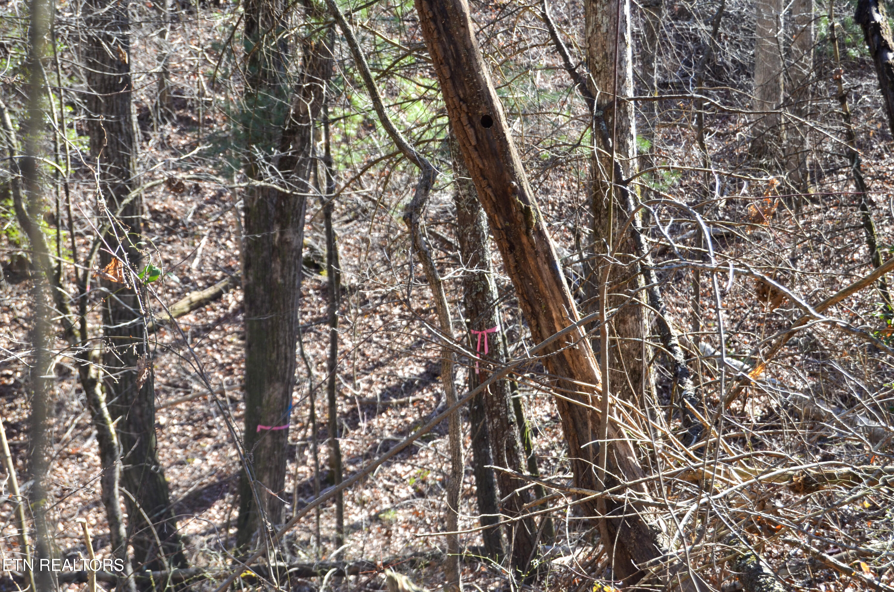 Sparta Hwy 31.65 +/- Acres