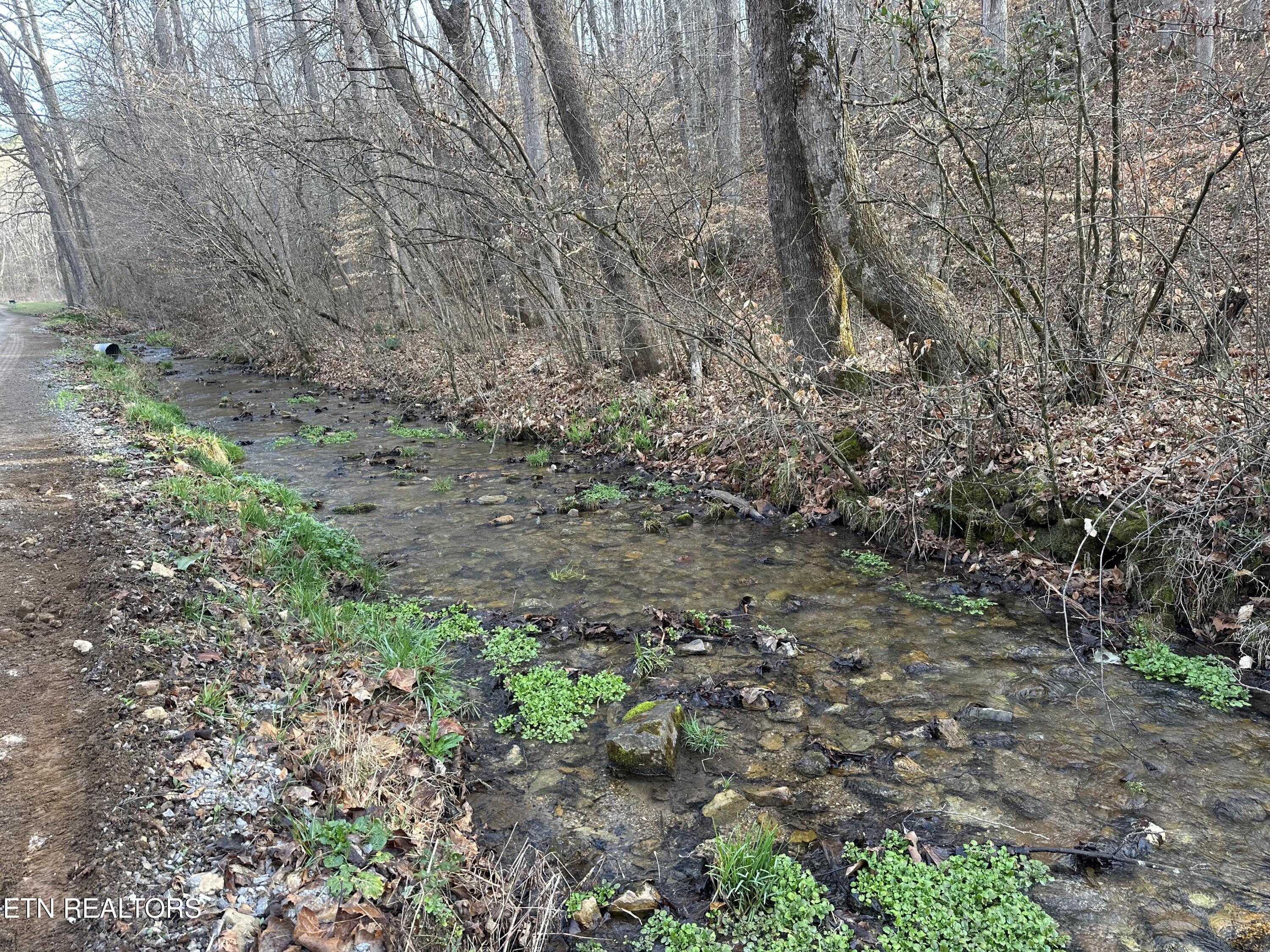 2144 Yellow Branch Rd