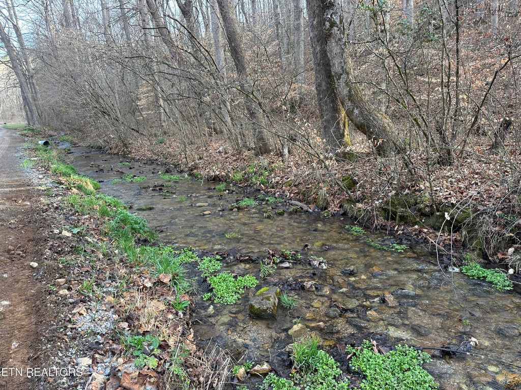 Photo of 2144 Yellow Branch Rd, Rose Hill, VA 24281 (MLS # 1331669)