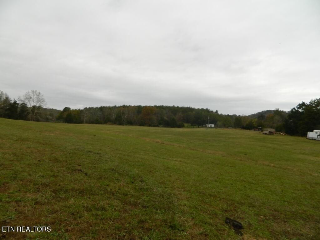 Photo of Spencer Hollow 75 Acres Rd, Blaine, TN 37709 (MLS # 1282163)
