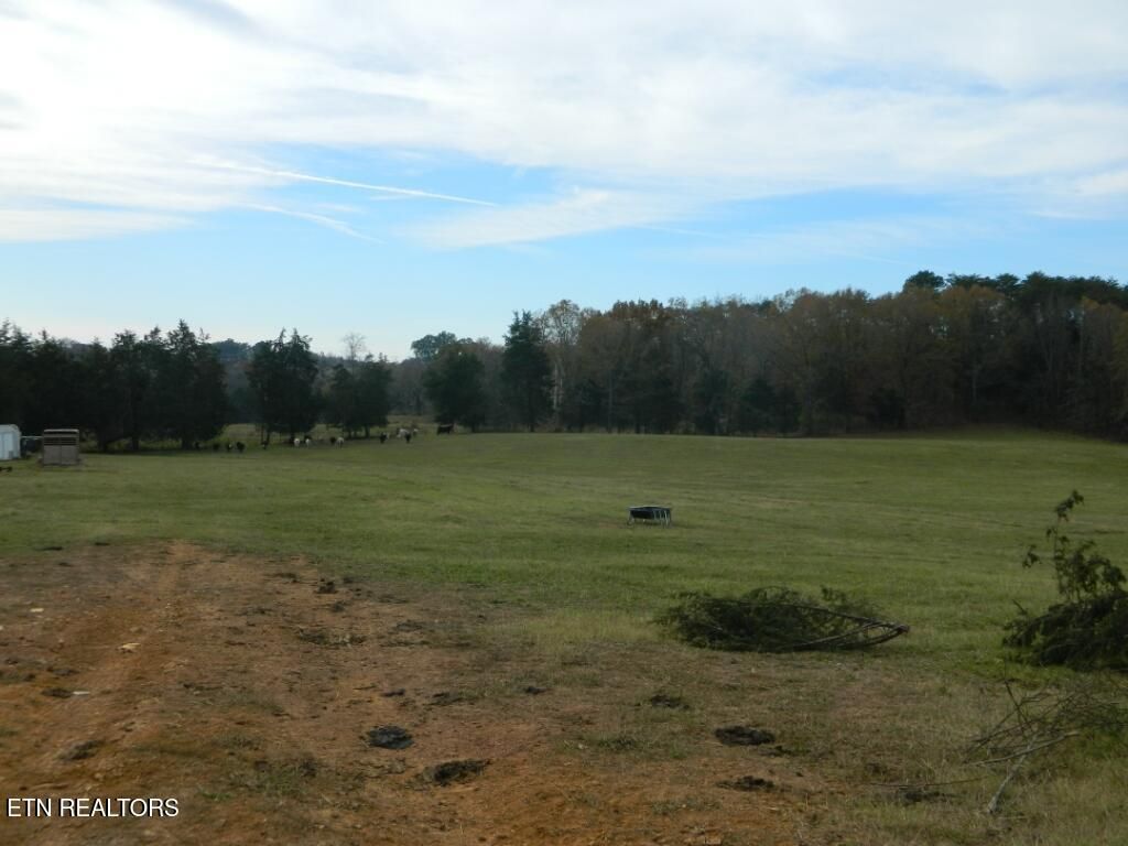 Photo of Spencer Hollow 75 Acres Rd, Blaine, TN 37709 (MLS # 1282163)