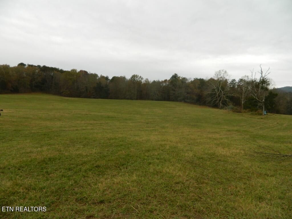 Photo of Spencer Hollow 75 Acres Rd, Blaine, TN 37709 (MLS # 1282163)