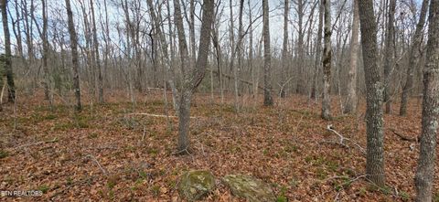 Photo of 13 Pond Rd, Monterey, TN 38574 (MLS # 1337380)