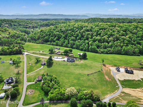 Tiny photo for 8519 Martin Mill Pike, Knoxville, TN 37920 (MLS # 1336860)