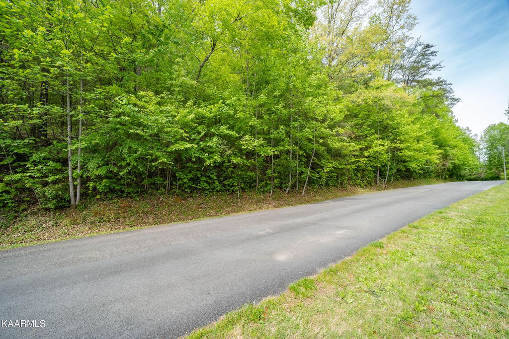 Photo of 220 Fox Hollow Rd, Townsend, TN 37882 (MLS # 1225724)