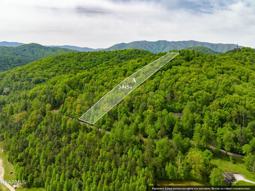 Photo of 220 Fox Hollow Rd, Townsend, TN 37882 (MLS # 1225724)