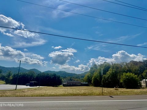 Tiny photo for HWY 61 E, Maynardville, TN 37807 (MLS # 1315842)
