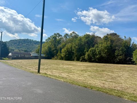 Tiny photo for HWY 61 E, Maynardville, TN 37807 (MLS # 1315842)