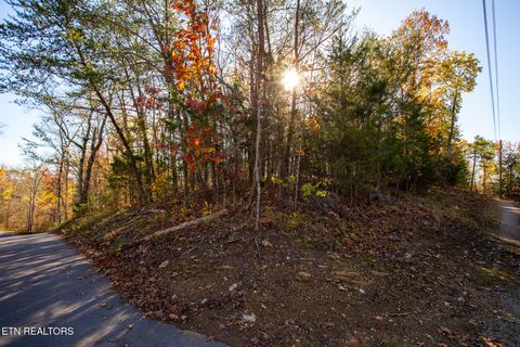 Tiny photo for Moonside Lane, Sevierville, TN 37876 (MLS # 1331777)