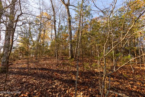Tiny photo for Moonside Lane, Sevierville, TN 37876 (MLS # 1331777)