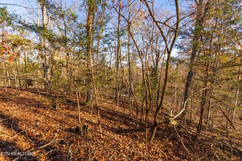 Tiny photo for Moonside Lane, Sevierville, TN 37876 (MLS # 1331777)