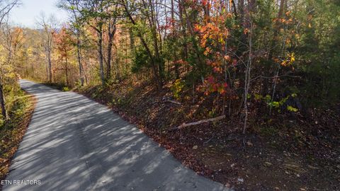 Tiny photo for Moonside Lane, Sevierville, TN 37876 (MLS # 1331777)