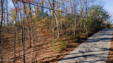 Tiny photo for Moonside Lane, Sevierville, TN 37876 (MLS # 1331777)