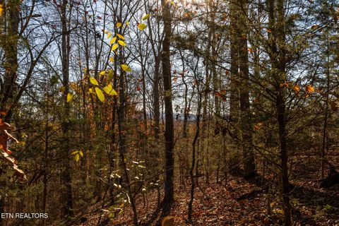 Tiny photo for Moonside Lane, Sevierville, TN 37876 (MLS # 1331777)