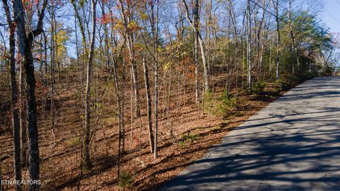Tiny photo for Moonside Lane, Sevierville, TN 37876 (MLS # 1331777)