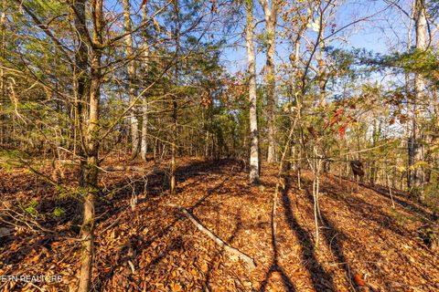 Tiny photo for Moonside Lane, Sevierville, TN 37876 (MLS # 1331777)
