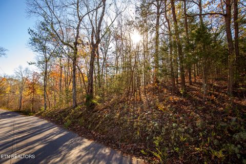 Tiny photo for Moonside Lane, Sevierville, TN 37876 (MLS # 1331777)