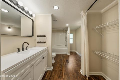 Tiny photo for 2406 Dayton St, Knoxville, TN 37921 (MLS # 1342402)