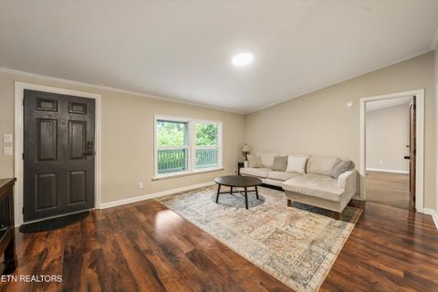 Tiny photo for 2406 Dayton St, Knoxville, TN 37921 (MLS # 1342402)