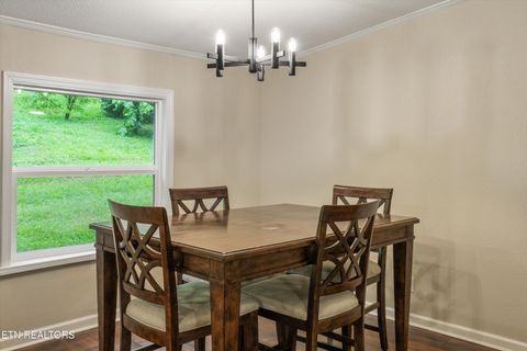 Tiny photo for 2406 Dayton St, Knoxville, TN 37921 (MLS # 1342402)