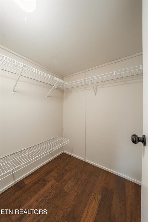 Tiny photo for 2406 Dayton St, Knoxville, TN 37921 (MLS # 1342402)