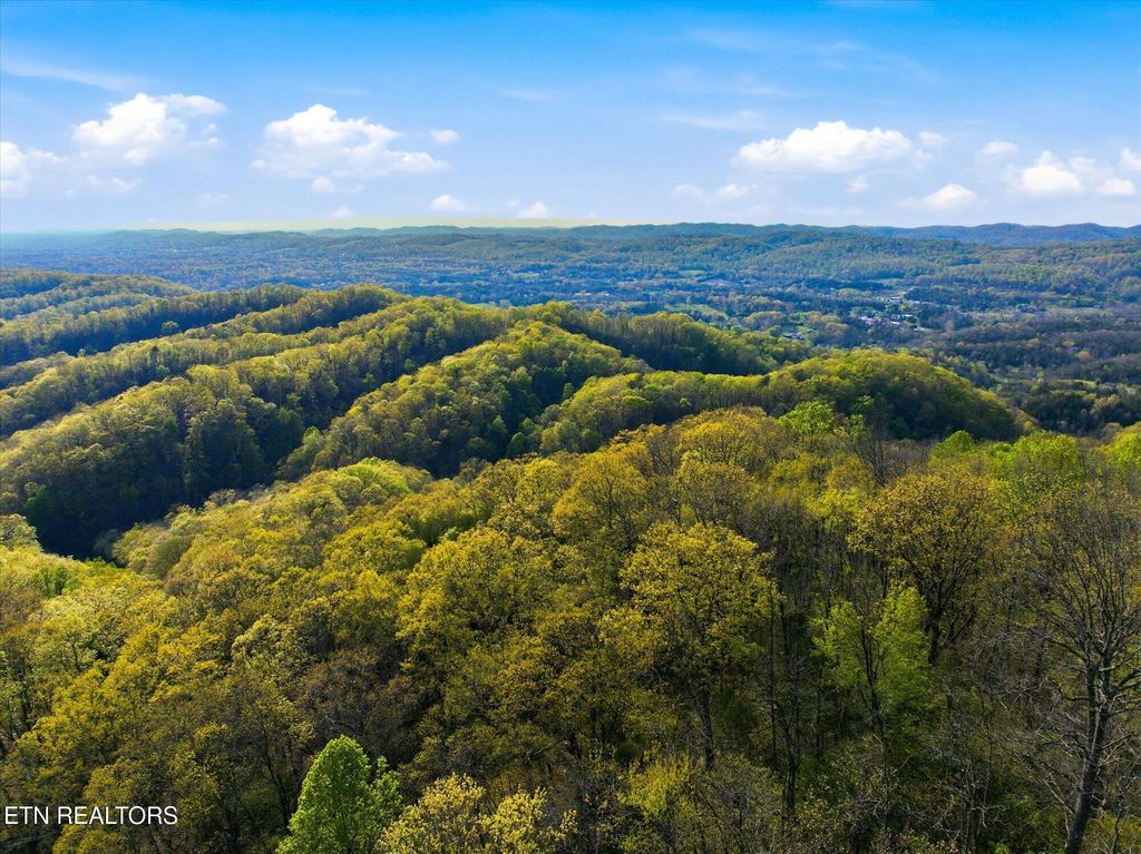 Photo of 000 Jim Town Rd, Luttrell, TN 37779 (MLS # 1339809)