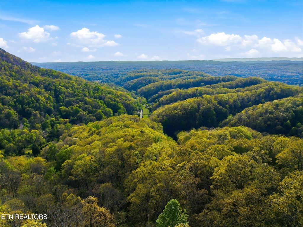 Photo of 000 Jim Town Rd, Luttrell, TN 37779 (MLS # 1339809)
