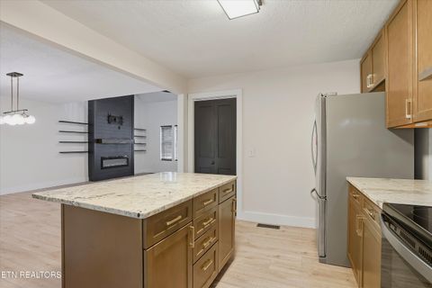 Tiny photo for 7358 Circle Point Drive, Talbott, TN 37877 (MLS # 1318883)