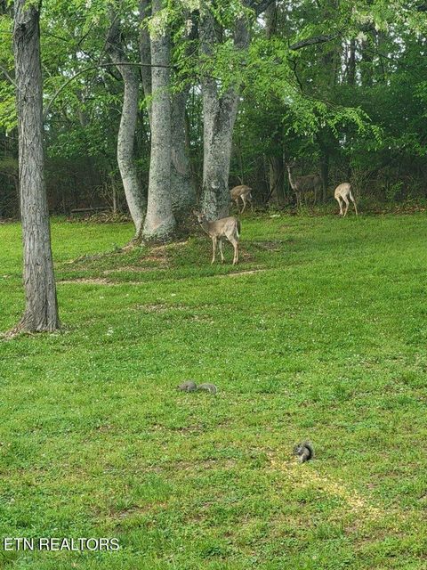 Tiny photo for 7358 Circle Point Drive, Talbott, TN 37877 (MLS # 1318883)