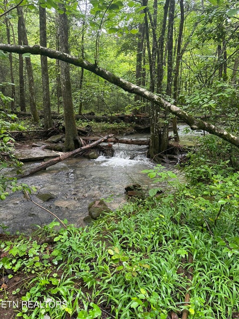 Tiny photo for 247 Copperhead Rd, Oakdale, TN 37829 (MLS # 1359810)