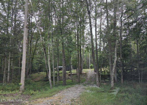 Tiny photo for 247 Copperhead Rd, Oakdale, TN 37829 (MLS # 1359810)