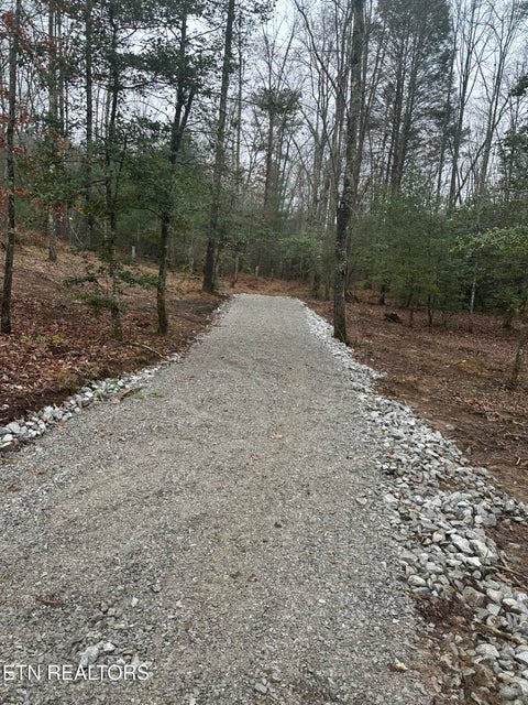 Tiny photo for 247 Copperhead Rd, Oakdale, TN 37829 (MLS # 1359810)