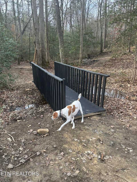 Tiny photo for 247 Copperhead Rd, Oakdale, TN 37829 (MLS # 1359810)