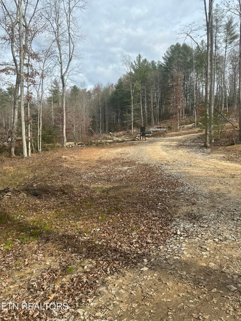 Tiny photo for 247 Copperhead Rd, Oakdale, TN 37829 (MLS # 1359810)