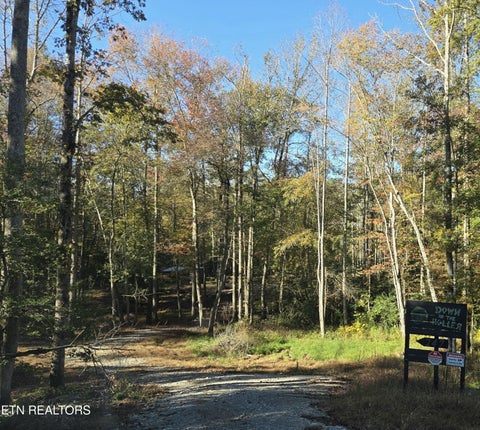 Photo of 247 Copperhead Rd, Oakdale, TN 37829 (MLS # 1359810)