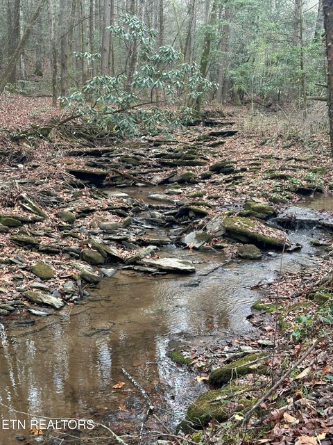 Tiny photo for 247 Copperhead Rd, Oakdale, TN 37829 (MLS # 1359810)