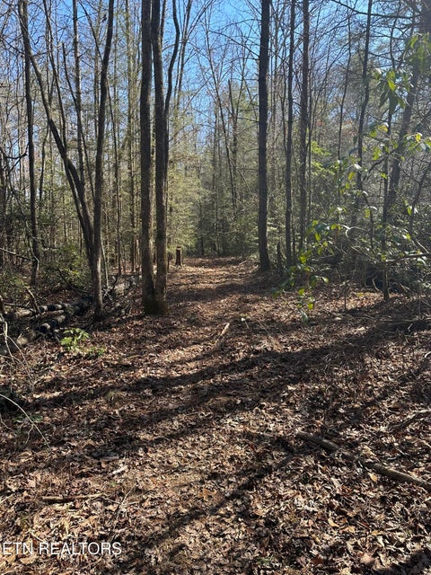 Tiny photo for 247 Copperhead Rd, Oakdale, TN 37829 (MLS # 1359810)