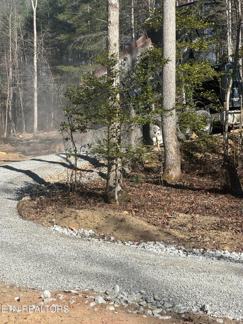 Tiny photo for 247 Copperhead Rd, Oakdale, TN 37829 (MLS # 1359810)