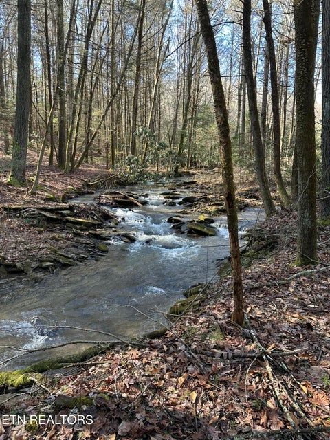 Tiny photo for 247 Copperhead Rd, Oakdale, TN 37829 (MLS # 1359810)