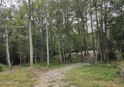 Tiny photo for 247 Copperhead Rd, Oakdale, TN 37829 (MLS # 1359810)