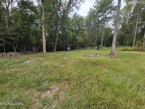 Tiny photo for 247 Copperhead Rd, Oakdale, TN 37829 (MLS # 1359810)