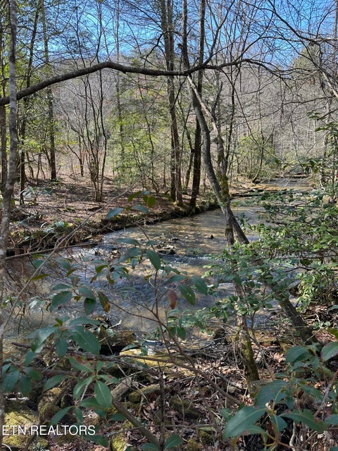 Tiny photo for 247 Copperhead Rd, Oakdale, TN 37829 (MLS # 1359810)