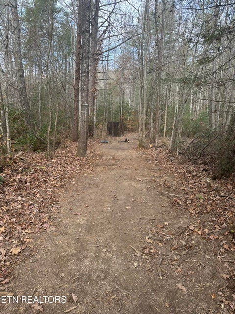 Tiny photo for 247 Copperhead Rd, Oakdale, TN 37829 (MLS # 1359810)