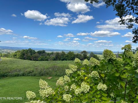 Tiny photo for 960 Cave Road Rd, Jefferson City, TN 37760 (MLS # 1325883)