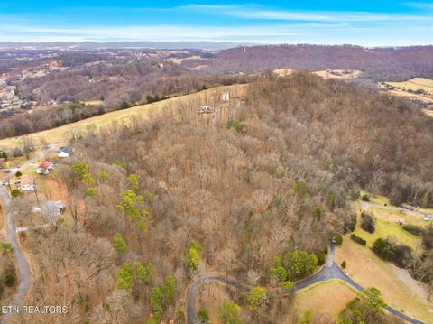 Tiny photo for 960 Cave Road Rd, Jefferson City, TN 37760 (MLS # 1325883)