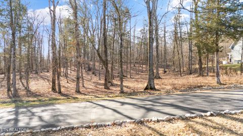 Tiny photo for 378 Walking Horse Tr, Rockwood, TN 37854 (MLS # 1328930)