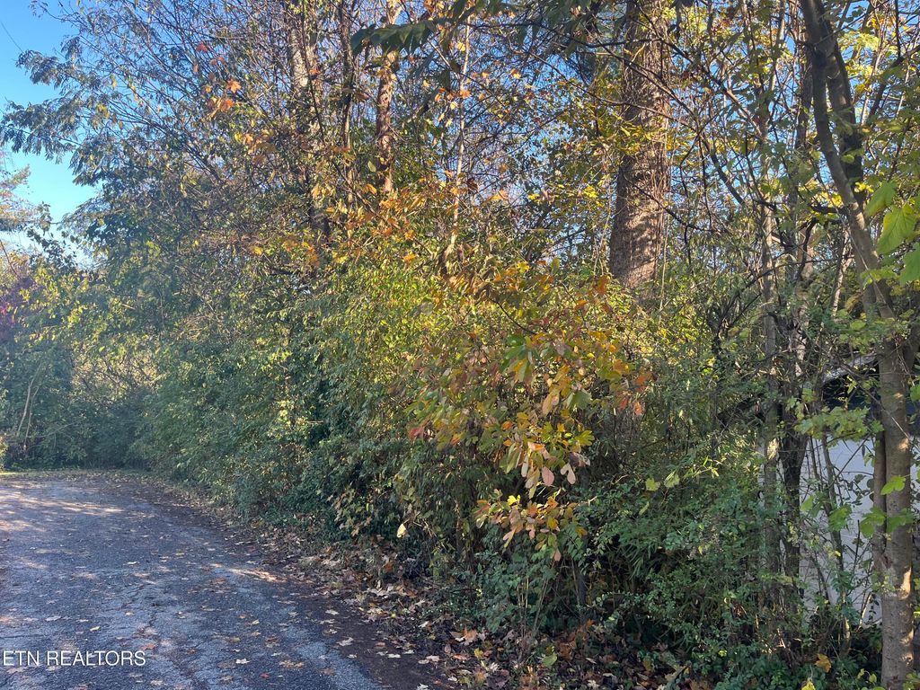 Photo of 2917 Brooks Ave, Knoxville, TN 37914 (MLS # 1320915)